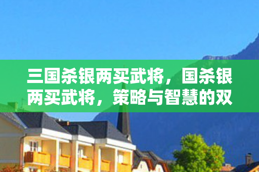 三国杀银两买武将，国杀银两买武将，策略与智慧的双重考量