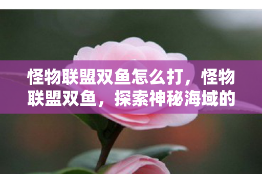 怪物联盟双鱼怎么打，怪物联盟双鱼，探索神秘海域的奇幻之旅