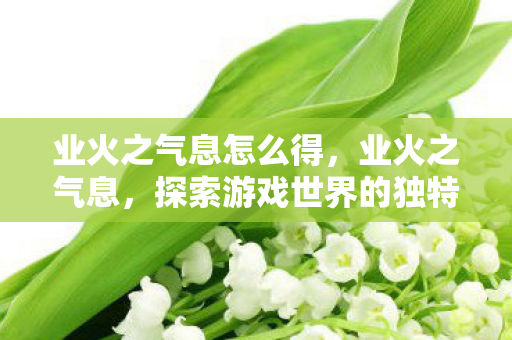 业火之气息怎么得,业火之气息,探索游戏世界的独特魅力 业火之气息怎么得,业火之气息,探索游戏世界的独特魅力
