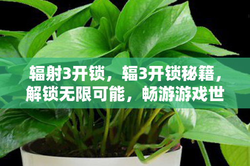 辐射3开锁,辐3开锁秘籍,解锁无限可能,畅游游戏世界 辐射3开锁,辐3开锁秘籍,解锁无限可能,畅游游戏世界