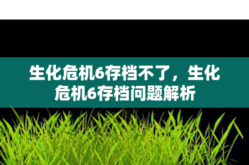 生化危机6存档不了，生化危机6存档问题解析