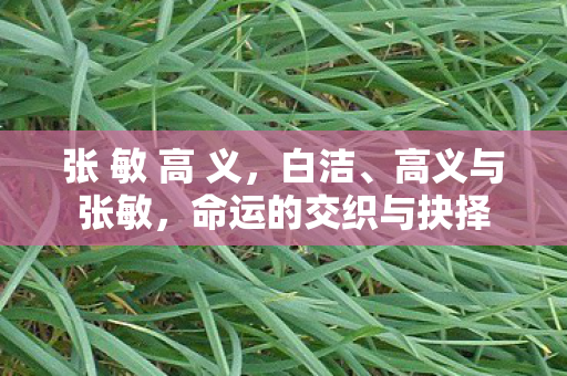 张 敏 高 义,白洁、高义与张敏,命运的交织与抉择 张 敏 高 义,白洁、高义与张敏,命运的交织与抉择