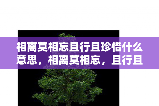 相离莫相忘且行且珍惜什么意思,相离莫相忘,且行且珍惜 相离莫相忘且行且珍惜什么意思,相离莫相忘,且行且珍惜