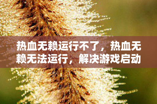 热血无赖运行不了，热血无赖无法运行，解决游戏启动问题的全面指南