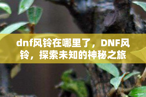 dnf风铃在哪里了,DNF风铃,探索未知的神秘之旅 dnf风铃在哪里了,DNF风铃,探索未知的神秘之旅