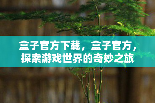 盒子官方下载，盒子官方，探索游戏世界的奇妙之旅