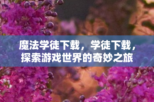 魔法学徒下载，学徒下载，探索游戏世界的奇妙之旅