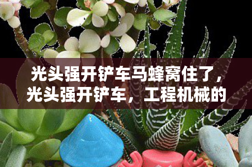 光头强开铲车马蜂窝住了,光头强开铲车,工程机械的奇妙冒险 光头强开铲车马蜂窝住了,光头强开铲车,工程机械的奇妙冒险