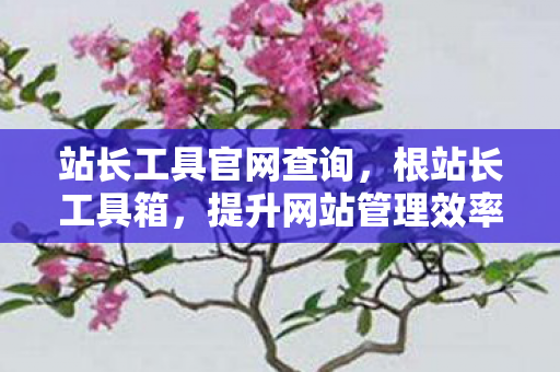 站长工具官网查询,根站长工具箱,提升网站管理效率的神兵利器 站长工具官网查询,根站长工具箱,提升网站管理效率的神兵利器