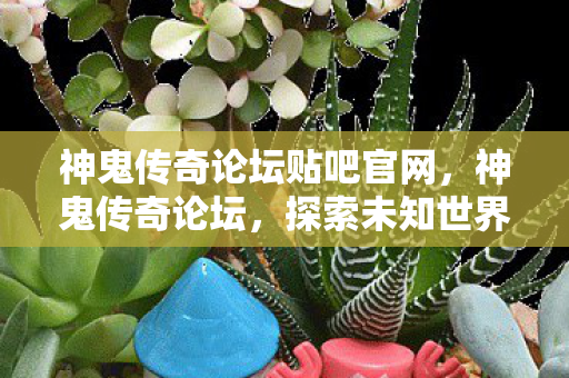 神鬼传奇论坛贴吧官网,神鬼传奇论坛,探索未知世界的奇幻之旅 神鬼传奇论坛贴吧官网,神鬼传奇论坛,探索未知世界的奇幻之旅