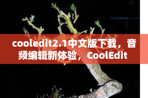 cooledit2.1中文版下载，音频编辑新体验，CoolEdit 2.1中文版功能详解