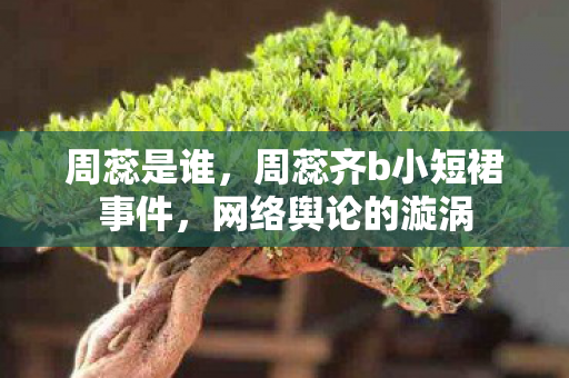 周蕊是谁,周蕊齐b小短裙事件,网络舆论的漩涡 周蕊是谁,周蕊齐b小短裙事件,网络舆论的漩涡