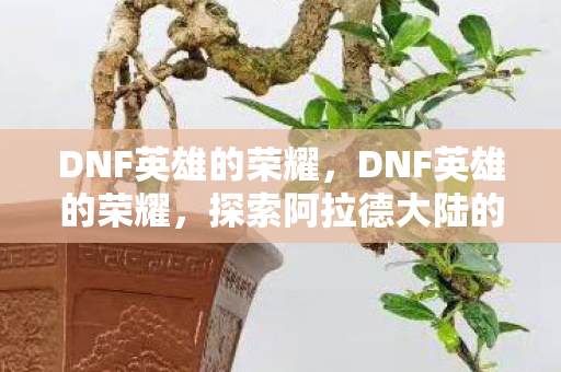 DNF英雄的荣耀,DNF英雄的荣耀,探索阿拉德大陆的无限可能 DNF英雄的荣耀,DNF英雄的荣耀,探索阿拉德大陆的无限可能
