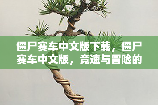 僵尸赛车中文版下载,僵尸赛车中文版,竞速与冒险的极致体验 僵尸赛车中文版下载,僵尸赛车中文版,竞速与冒险的极致体验