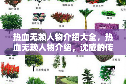 热血无赖人物介绍大全，热血无赖人物介绍，沈威的传奇故事