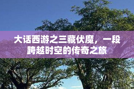 大话西游之三藏伏魔,一段跨越时空的传奇之旅 大话西游之三藏伏魔,一段跨越时空的传奇之旅