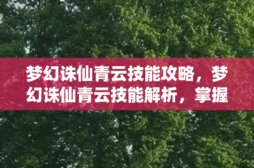 梦幻诛仙青云技能攻略,梦幻诛仙青云技能解析,掌握仙道奥秘 梦幻诛仙青云技能攻略,梦幻诛仙青云技能解析,掌握仙道奥秘