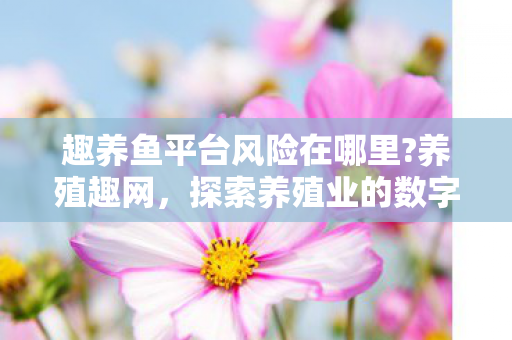 趣养鱼平台风险在哪里?养殖趣网,探索养殖业的数字化新篇章 趣养鱼平台风险在哪里?养殖趣网,探索养殖业的数字化新篇章
