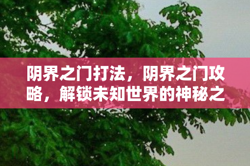 阴界之门打法,阴界之门攻略,解锁未知世界的神秘之旅 阴界之门打法,阴界之门攻略,解锁未知世界的神秘之旅