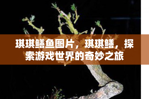 琪琪鳝鱼图片,琪琪鳝,探索游戏世界的奇妙之旅 琪琪鳝鱼图片,琪琪鳝,探索游戏世界的奇妙之旅
