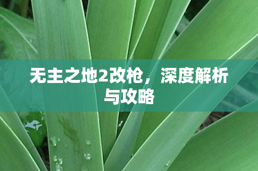 无主之地2改枪,深度解析与攻略 无主之地2改枪,深度解析与攻略