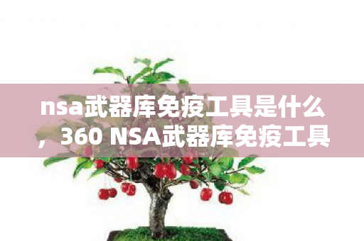 nsa武器库免疫工具是什么，360 NSA武器库免疫工具，守护数字安全的强大武器
