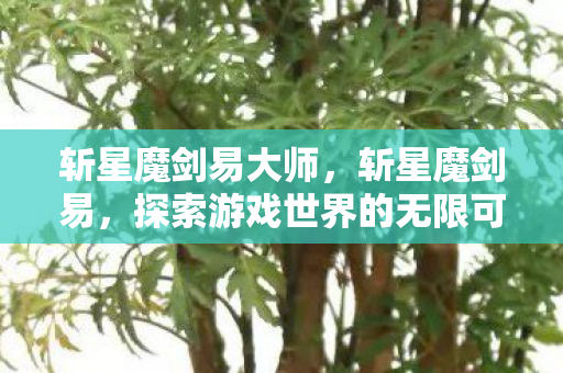 斩星魔剑易大师,斩星魔剑易,探索游戏世界的无限可能 斩星魔剑易大师,斩星魔剑易,探索游戏世界的无限可能