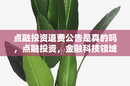 点融投资退费公告是真的吗,点融投资,金融科技领域的创新先锋 点融投资退费公告是真的吗,点融投资,金融科技领域的创新先锋