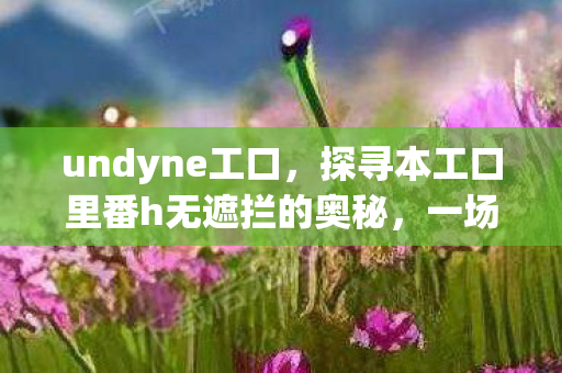 undyne工口，探寻本工口里番h无遮拦的奥秘，一场视觉与心灵的盛宴