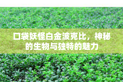 口袋妖怪白金波克比,神秘的生物与独特的魅力 口袋妖怪白金波克比,神秘的生物与独特的魅力
