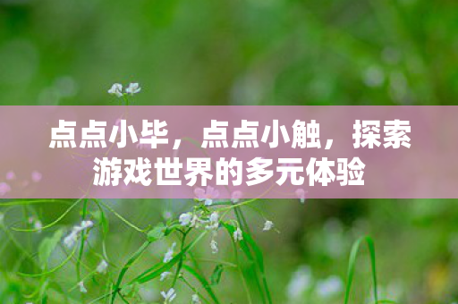 点点小毕,点点小触,探索游戏世界的多元体验 点点小毕,点点小触,探索游戏世界的多元体验