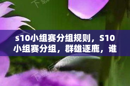 s10小组赛分组规则，S10小组赛分组，群雄逐鹿，谁将脱颖而出？