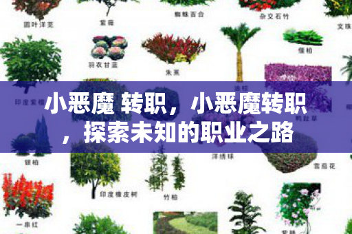 小恶魔 转职,小恶魔转职,探索未知的职业之路 小恶魔 转职,小恶魔转职,探索未知的职业之路