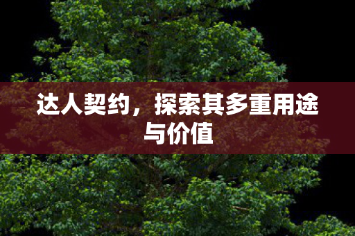 达人契约,探索其多重用途与价值 达人契约,探索其多重用途与价值