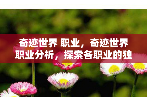 奇迹世界 职业,奇迹世界职业分析,探索各职业的独特魅力与策略 奇迹世界 职业,奇迹世界职业分析,探索各职业的独特魅力与策略