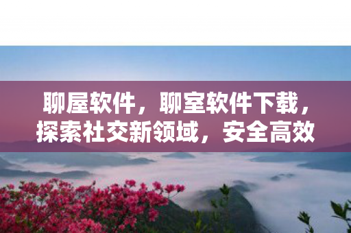 聊屋软件,聊室软件下载,探索社交新领域,安全高效连接你我 聊屋软件,聊室软件下载,探索社交新领域,安全高效连接你我