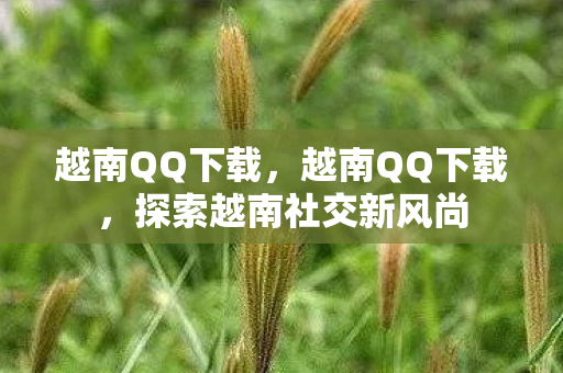 越南QQ下载,越南QQ下载,探索越南社交新风尚 越南QQ下载,越南QQ下载,探索越南社交新风尚