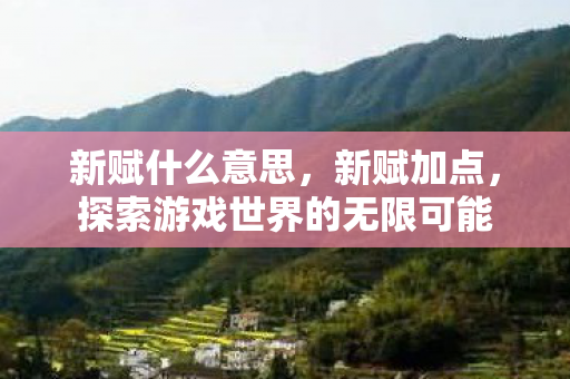 新赋什么意思,新赋加点,探索游戏世界的无限可能 新赋什么意思,新赋加点,探索游戏世界的无限可能