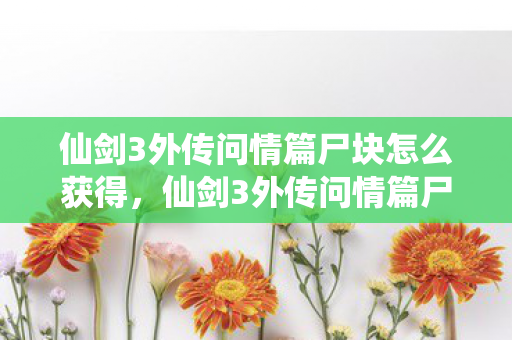 仙剑3外传问情篇尸块怎么获得,仙剑3外传问情篇尸块,探寻游戏中的神秘碎片 仙剑3外传问情篇尸块怎么获得,仙剑3外传问情篇尸块,探寻游戏中的神秘碎片