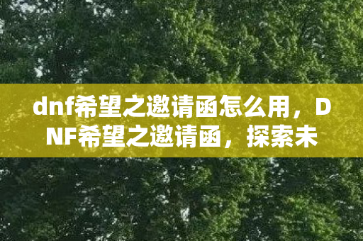 dnf希望之邀请函怎么用，DNF希望之邀请函，探索未知，共赴冒险之旅