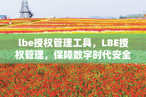lbe授权管理工具,LBE授权管理,保障数字时代安全与合规的基石 lbe授权管理工具,LBE授权管理,保障数字时代安全与合规的基石