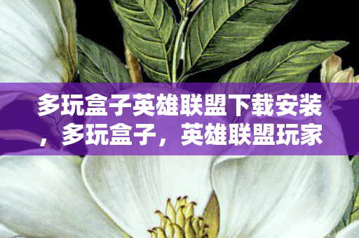 多玩盒子英雄联盟下载安装,多玩盒子,英雄联盟玩家的便捷神器 多玩盒子英雄联盟下载安装,多玩盒子,英雄联盟玩家的便捷神器