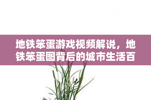地铁笨蛋游戏视频解说，地铁笨蛋图背后的城市生活百态