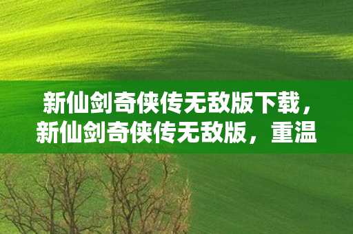 新仙剑奇侠传无敌版下载,新仙剑奇侠传无敌版,重温经典,畅享无限战斗 新仙剑奇侠传无敌版下载,新仙剑奇侠传无敌版,重温经典,畅享无限战斗