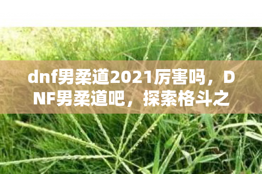 dnf男柔道2021厉害吗,DNF男柔道吧,探索格斗之王的成长之路 dnf男柔道2021厉害吗,DNF男柔道吧,探索格斗之王的成长之路