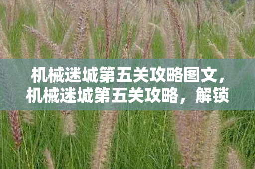 机械迷城第五关攻略图文,机械迷城第五关攻略,解锁谜题,迈向胜利 机械迷城第五关攻略图文,机械迷城第五关攻略,解锁谜题,迈向胜利