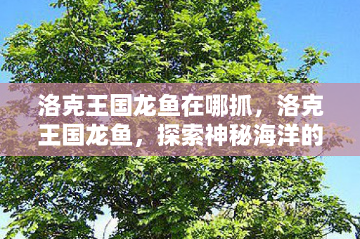洛克王国龙鱼在哪抓,洛克王国龙鱼,探索神秘海洋的奇幻之旅 洛克王国龙鱼在哪抓,洛克王国龙鱼,探索神秘海洋的奇幻之旅