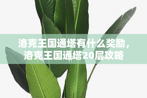 洛克王国通塔有什么奖励,洛克王国通塔20层攻略 洛克王国通塔有什么奖励,洛克王国通塔20层攻略