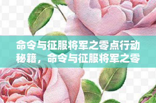 命令与征服将军之零点行动秘籍,命令与征服将军之零点行动,经典战役的回顾与解析 命令与征服将军之零点行动秘籍,命令与征服将军之零点行动,经典战役的回顾与解析