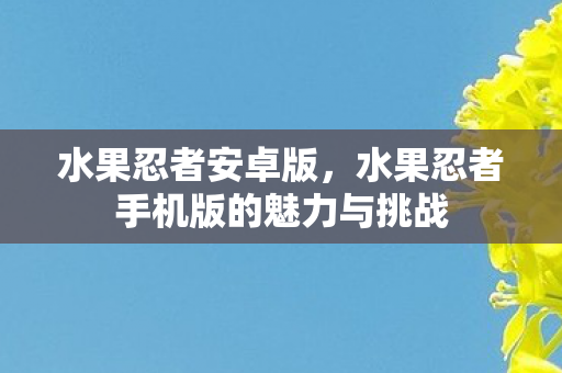 水果忍者安卓版,水果忍者手机版的魅力与挑战 水果忍者安卓版,水果忍者手机版的魅力与挑战